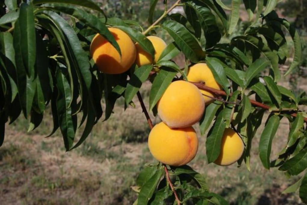 Quinta Da Estima Villa Dous Portos Luaran gambar